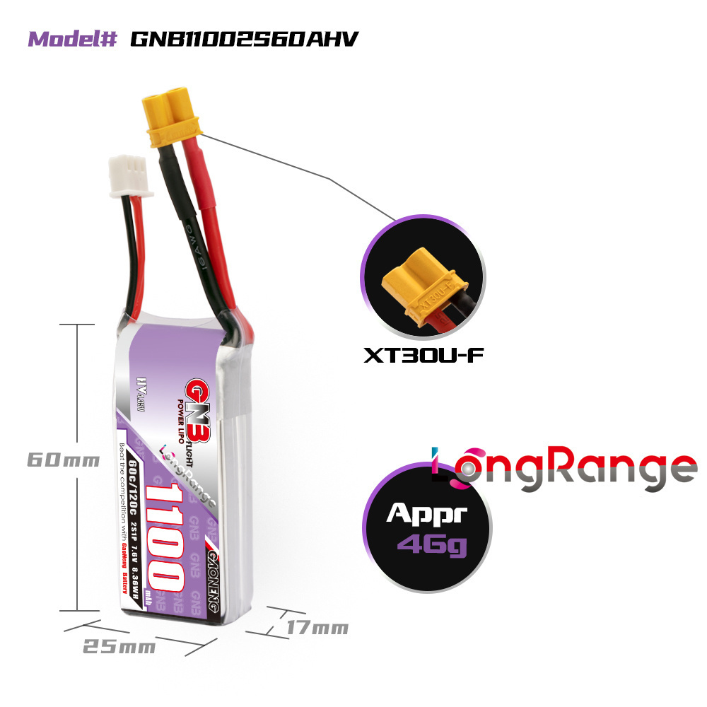 GNB 1100mAh 2S 3S 4S 6S 60C/12 - Rc Helicopter Parts recensione e prezzo